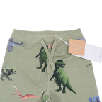 Pantalon vert imprimé dinosaures - 18-24 mois