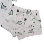 Ensemble dinosaures blanc et vert d’eau — 6 mois