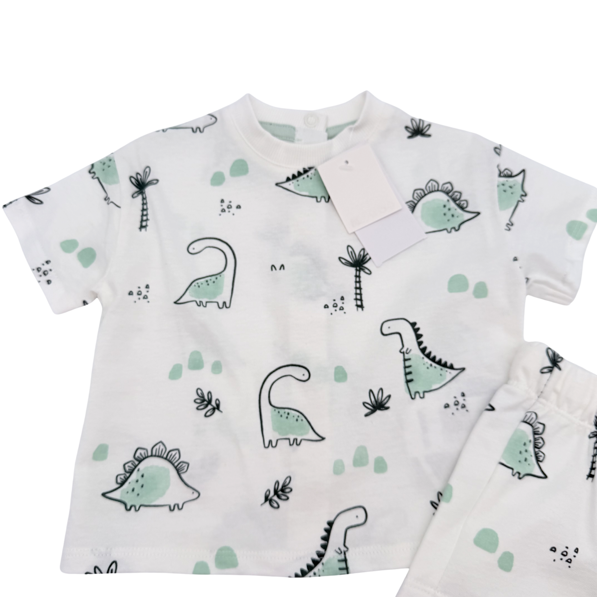 Ensemble dinosaures blanc et vert d’eau — 6 mois