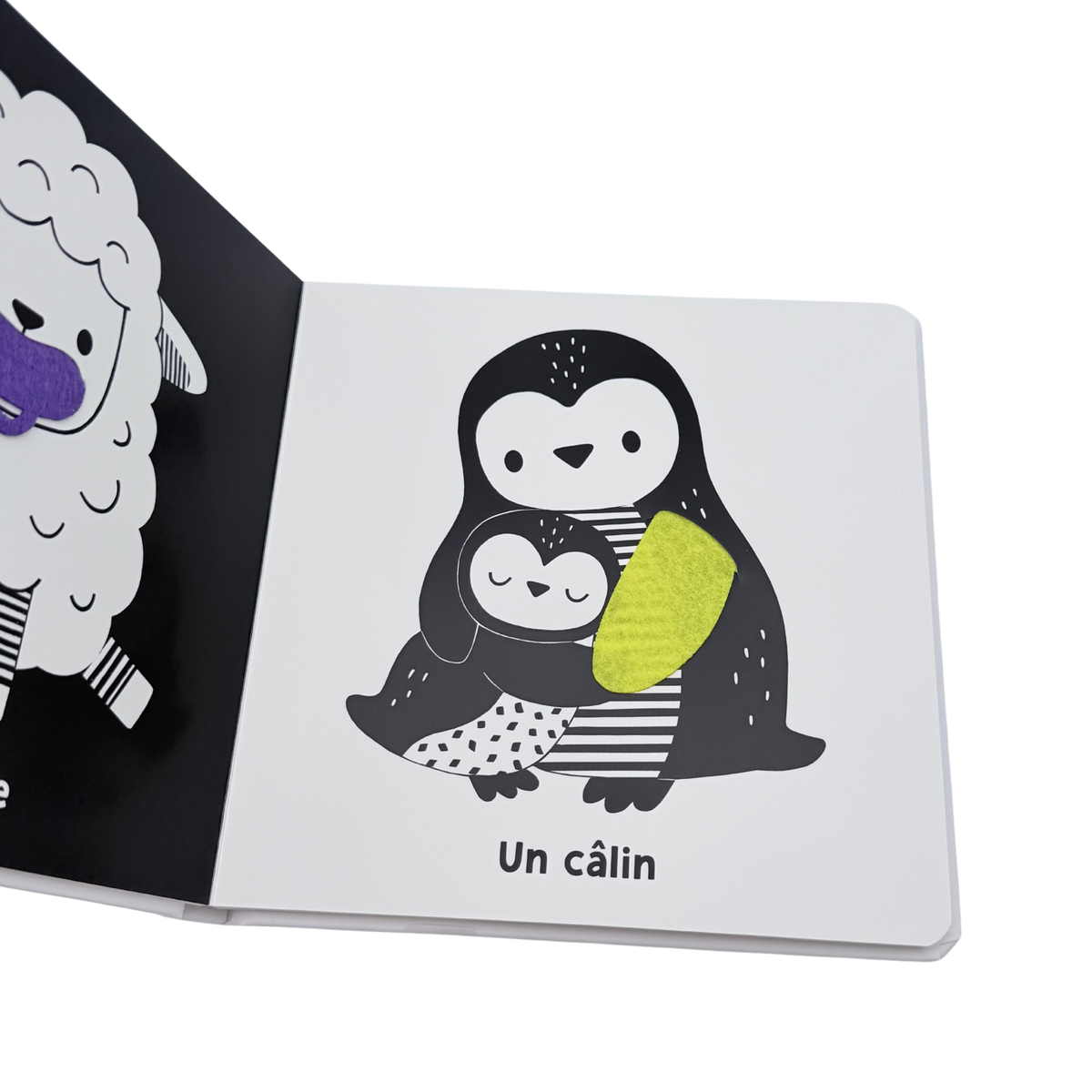 Livre d’éveil bébé « Mes premiers mots »