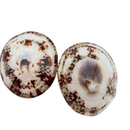Coffret allaitement collier et coquillages naturels – Taille L