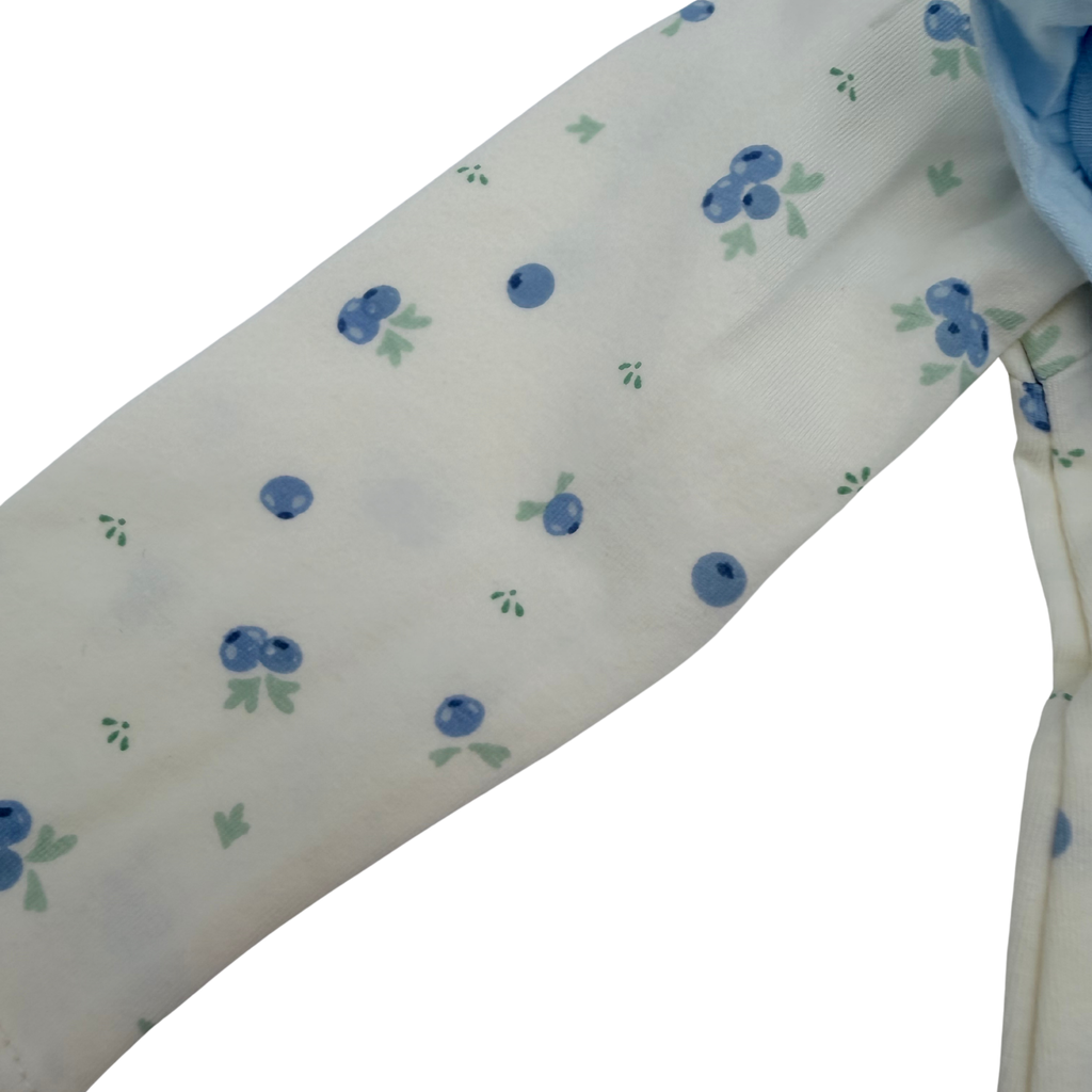 Lot de 2 pyjamas bébé zippés bleu - 9 mois